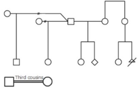 医療用遺伝家系図 自動作成ソフトウェア f-tree